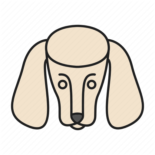 basset-hound # 100991