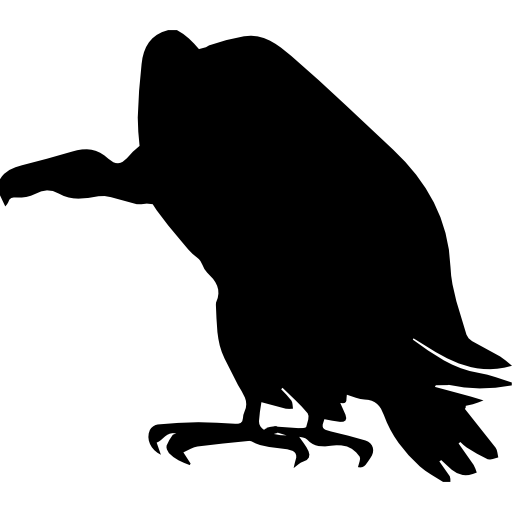 vulture # 241688