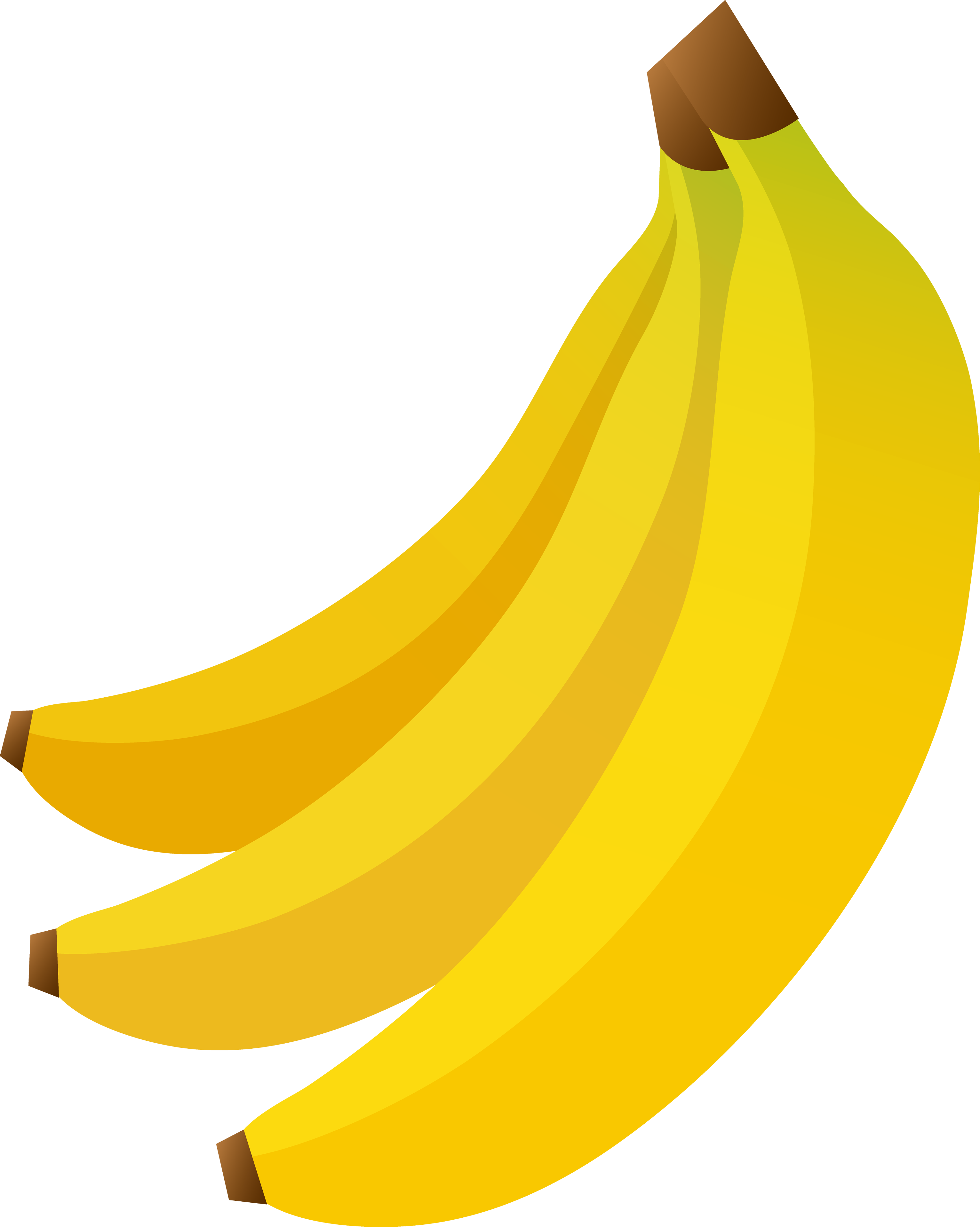 banana-family # 82068
