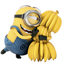 banana-family # 127015